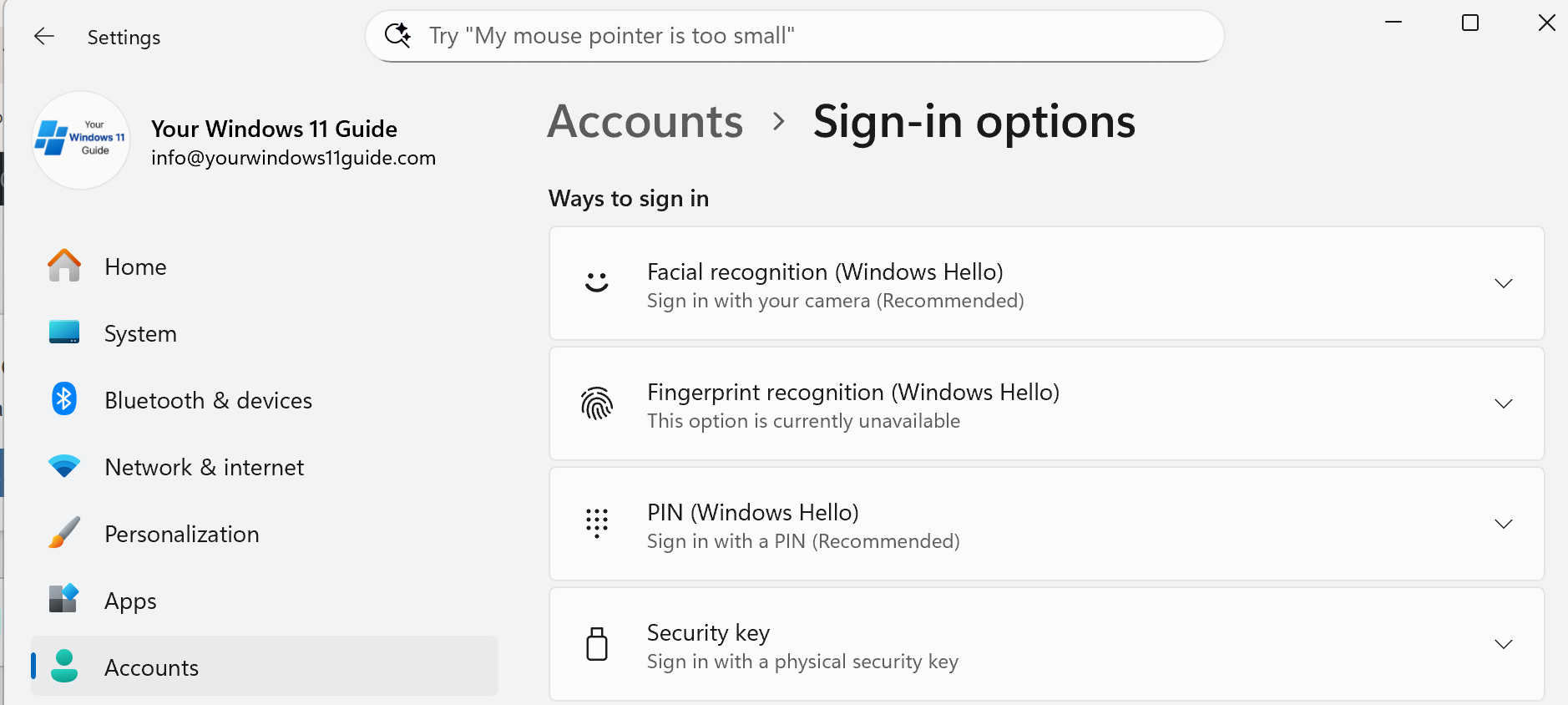 Windows 11 Sign in options