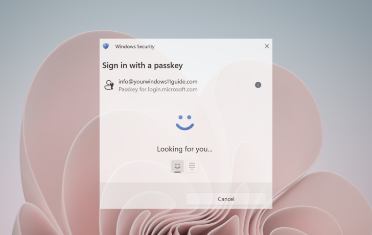 What Are Passkeys in Windows 11 and How They Work
