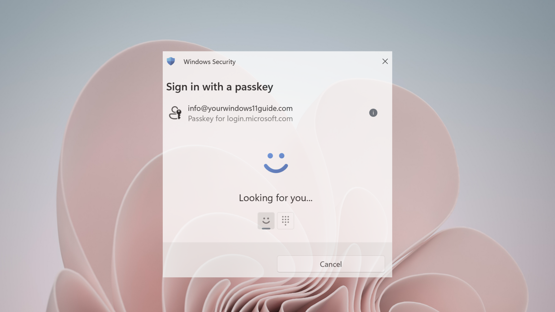 Signing in to Microsoft account using the Passkey in Windows 11